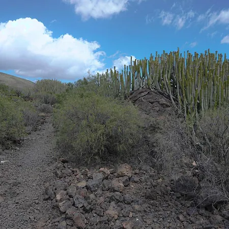 Seaside In Appartamento *