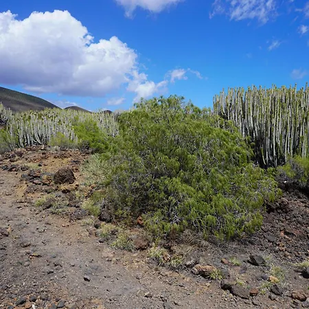 Seaside In Appartamento Puertito de Guimar