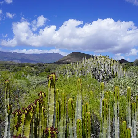 Seaside In Puertito de Guimar
